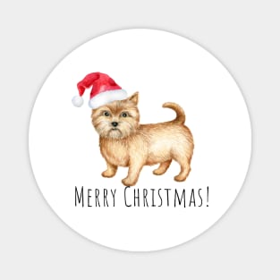 Cute Norwich terrier , Christmas dog Magnet